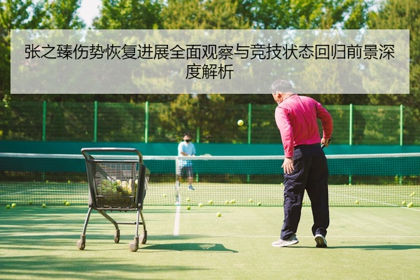 张之臻伤势恢复进展全面观察与竞技状态回归前景深度解析