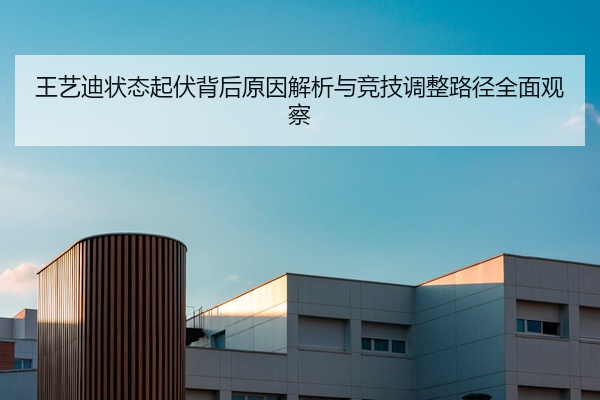 王艺迪状态起伏背后原因解析与竞技调整路径全面观察