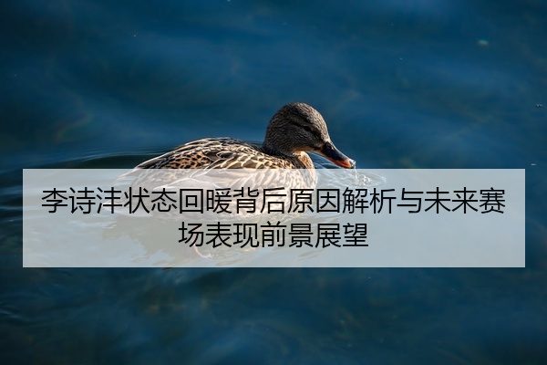 李诗沣状态回暖背后原因解析与未来赛场表现前景展望