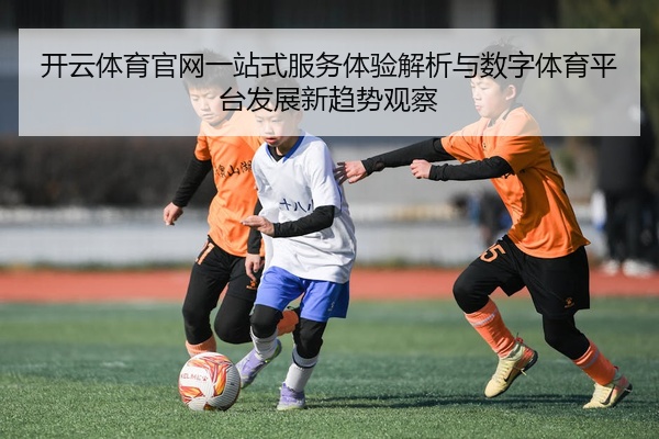 开云体育官网一站式服务体验解析与数字体育平台发展新趋势观察